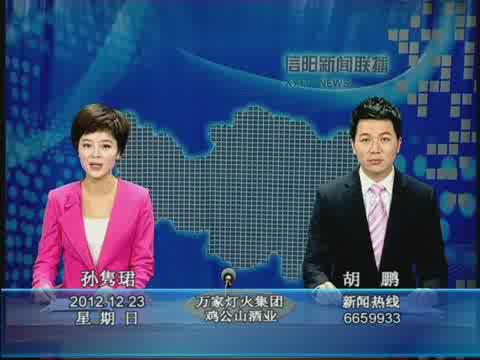 信陽工業(yè)城：打造電子信息產(chǎn)業(yè)高地